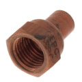 1/4" FTG x Female Street Adapter